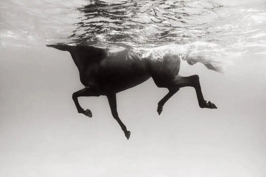 Tranquility, by Drew Doggett-PurePhoto