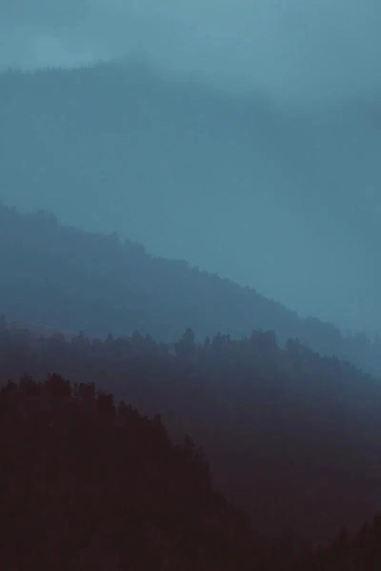 Treeline 4, by Joel Lavold-PurePhoto