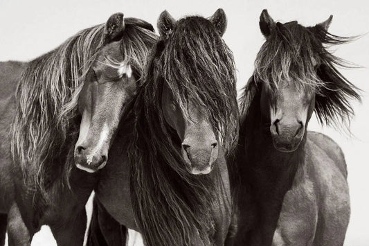 Trinity, by Drew Doggett-PurePhoto
