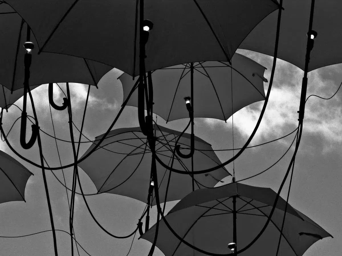 Umbrella art, by Mats Gustafsson-PurePhoto