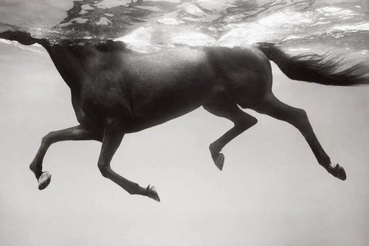 Underwater Rhythm, by Drew Doggett-PurePhoto