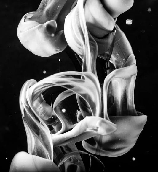 Unison, by Javiera Estrada-PurePhoto
