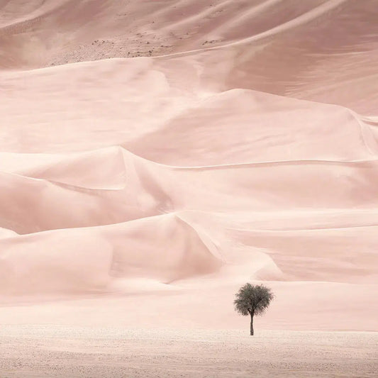 Unknown, by Anthony Lamb-PurePhoto