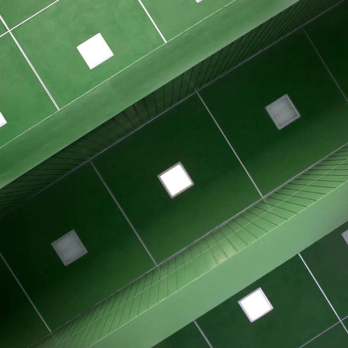 Utrecht, Heidelberglaan, by Giovanni Presutti-PurePhoto