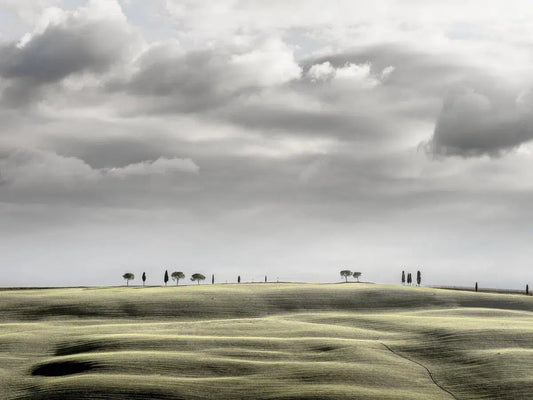 Val d'Orcia Hilltop, by Steven Castro-PurePhoto