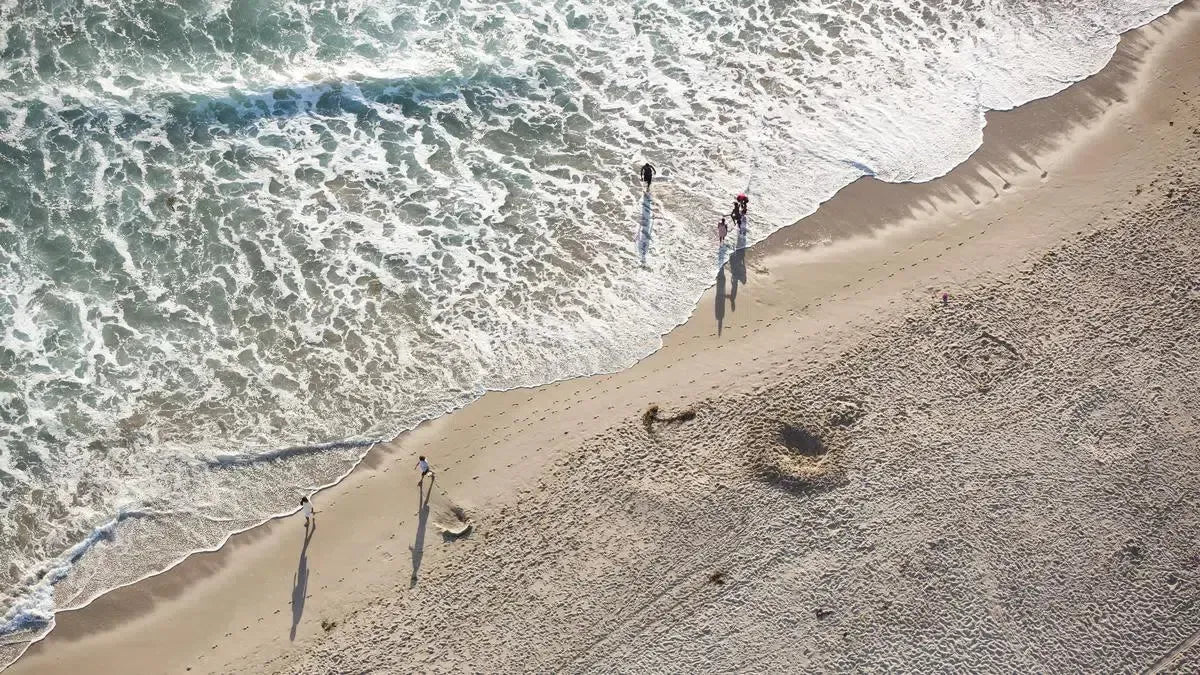 Venice Beach, by Mike Kelley-PurePhoto
