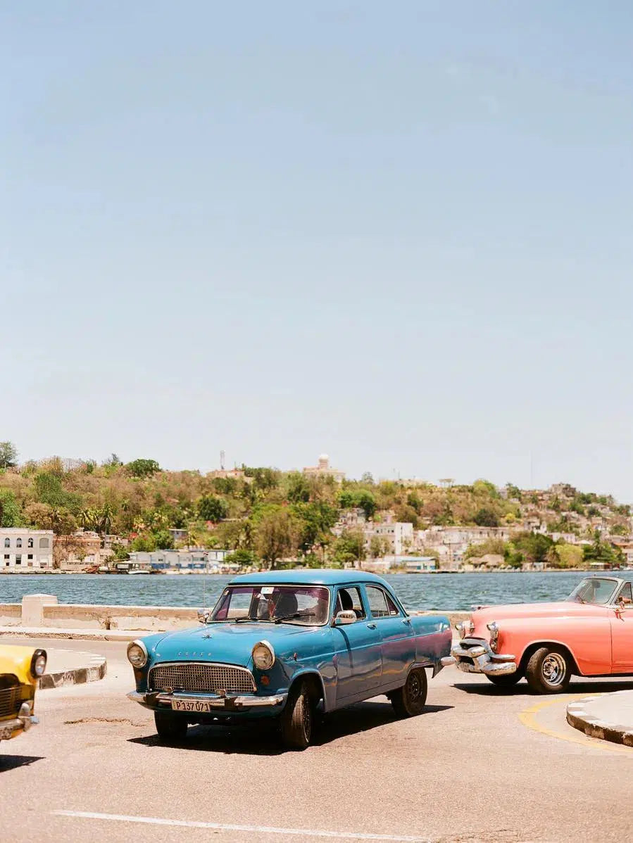 Vintage Blue, by Lauren Jonas-PurePhoto