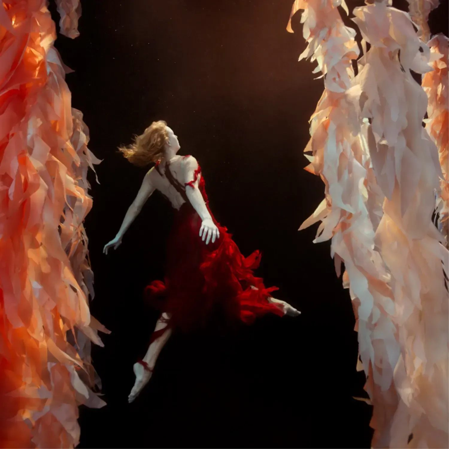 Vision, by Mallory Morrison-PurePhoto