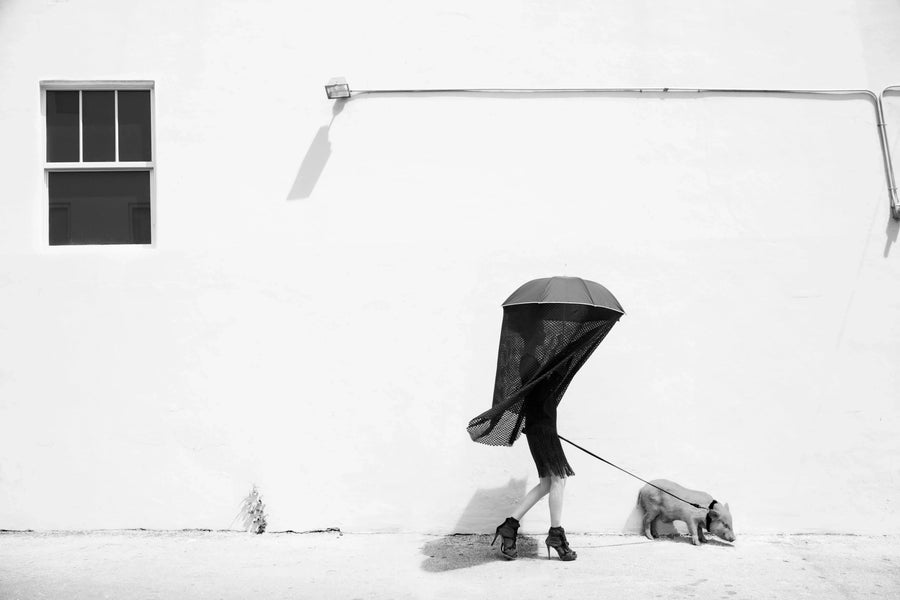 Walking the Piglet, by Greg Lotus-PurePhoto