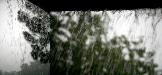 Wall, by Nicole Katano-PurePhoto