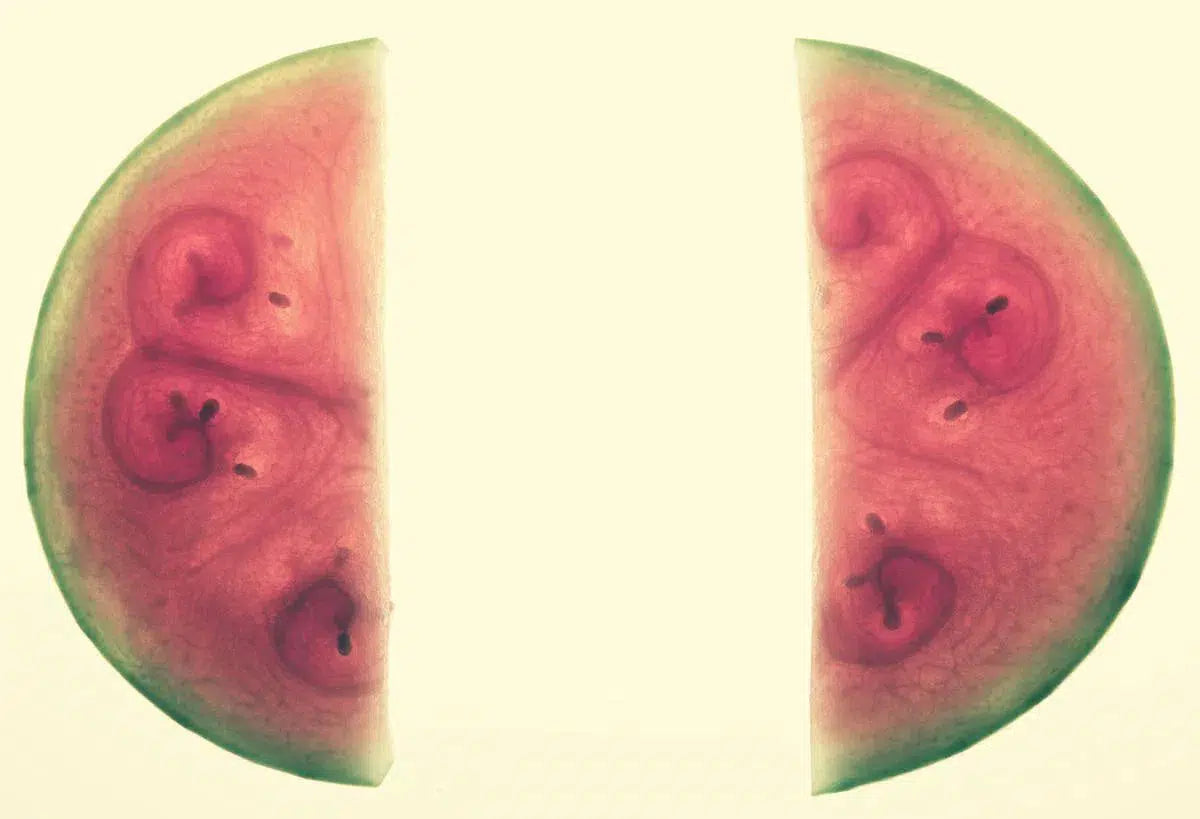 Watermelon Study #3, by Paul Edmondson-PurePhoto