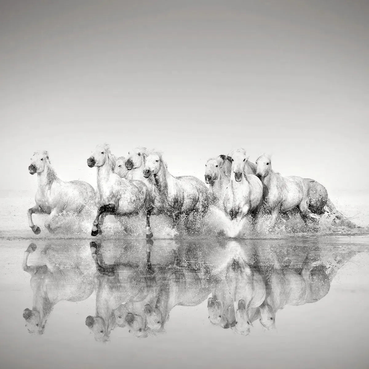 Wave Runners, by Jonathan Chritchley-PurePhoto