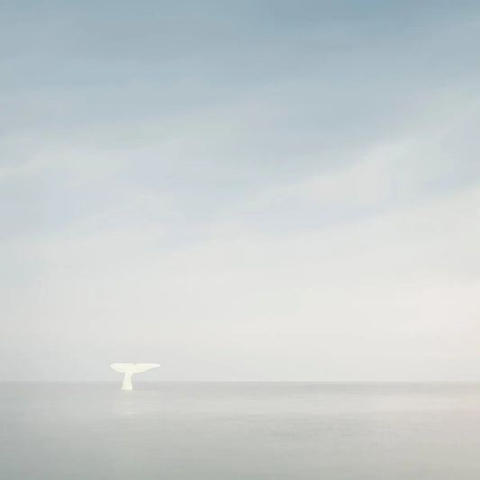 Whale Song, by Maggy Morrissey-PurePhoto