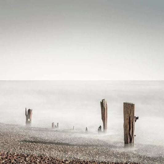 Whispers, by Anthony Lamb-PurePhoto