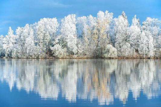White Frost, by Ari Salmela-PurePhoto
