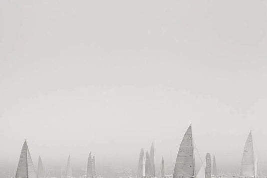 White Out, by Drew Doggett-PurePhoto