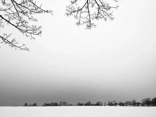 White Sky, by Ann Dahlgren-PurePhoto