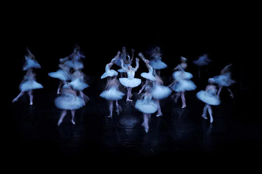 White Swan, by Alex Axon-PurePhoto