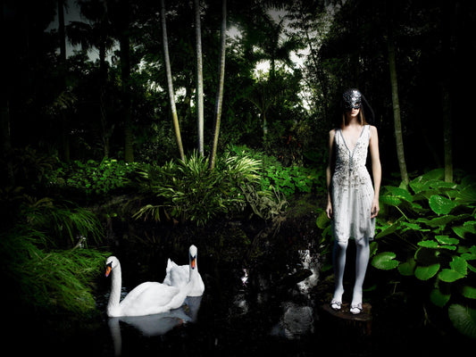 White Swan, by Greg Lotus-PurePhoto