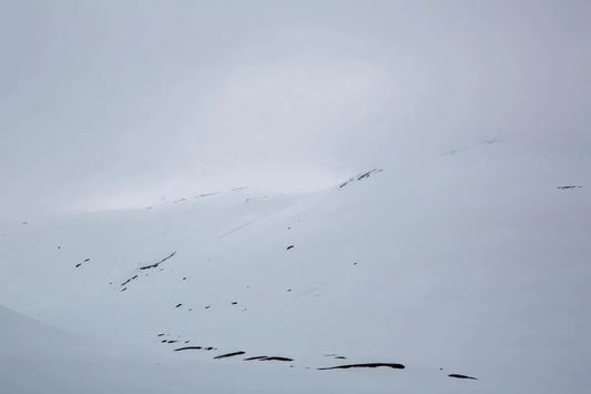 Whiteout IV, by Simon Reif-PurePhoto