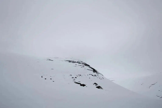 Whiteout V, by Simon Reif-PurePhoto