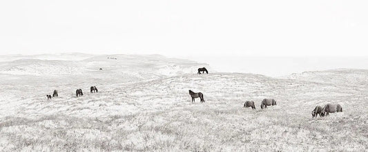 Wild Frontier, by Drew Doggett-PurePhoto