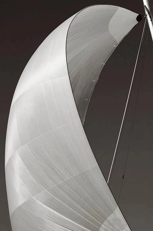Windswept, by Drew Doggett-PurePhoto