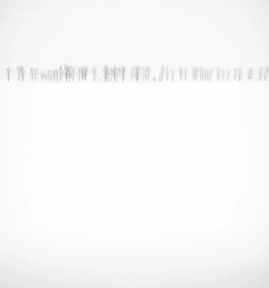 Winterly Haiku 2388, by Andrei Baciu-PurePhoto