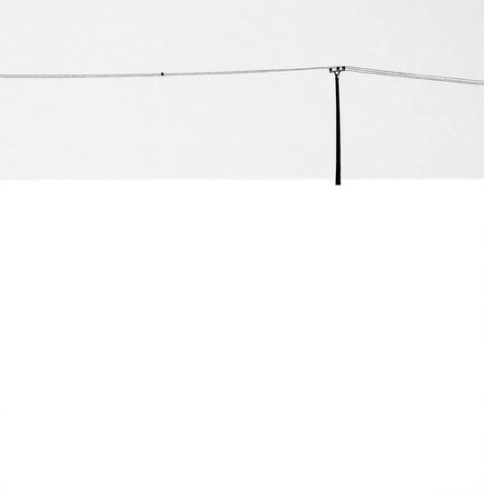 Winterly Haiku 4550, by Andrei Baciu-PurePhoto