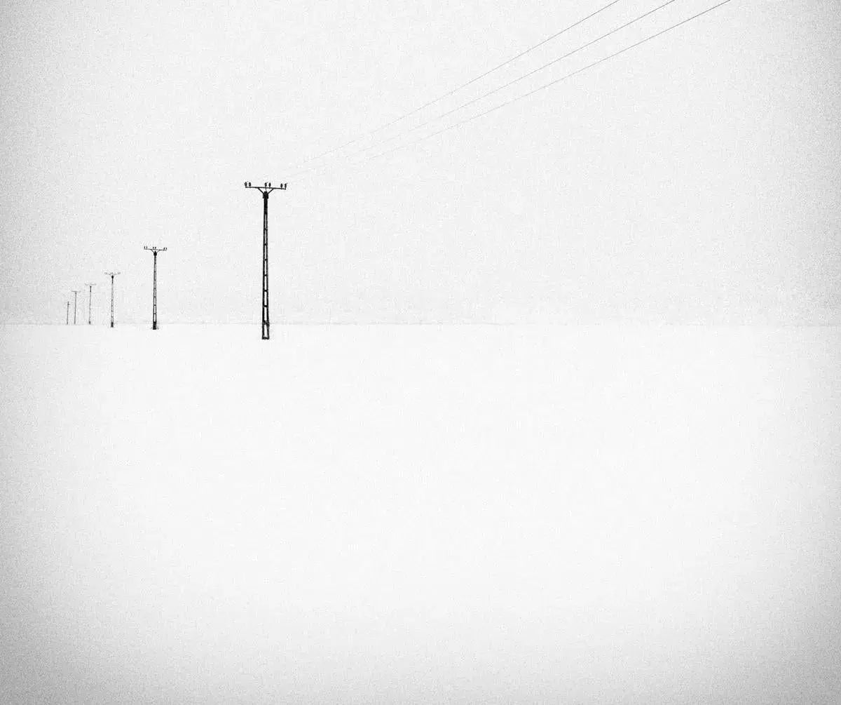Winterly Haiku 4583, by Andrei Baciu-PurePhoto