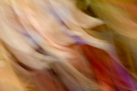 Wisp, by Gillian Lindsay-PurePhoto