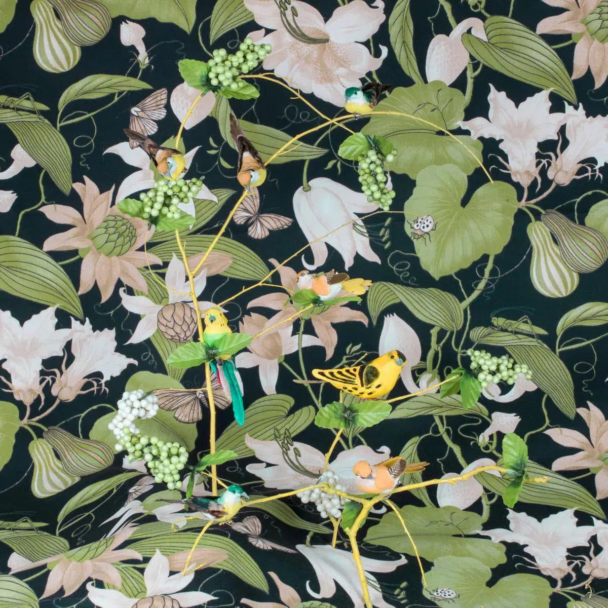 Yellow Birds on Black, by Patty Carroll-PurePhoto