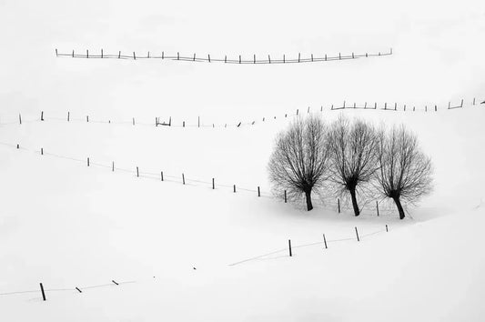 Zigzag, by Alex Axon-PurePhoto