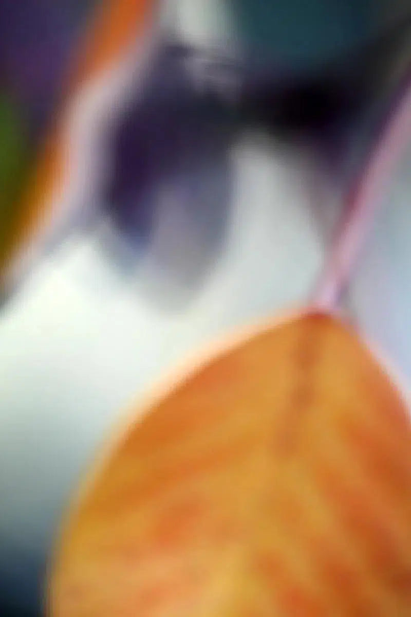 autumn leaves, by Nicole Katano-PurePhoto