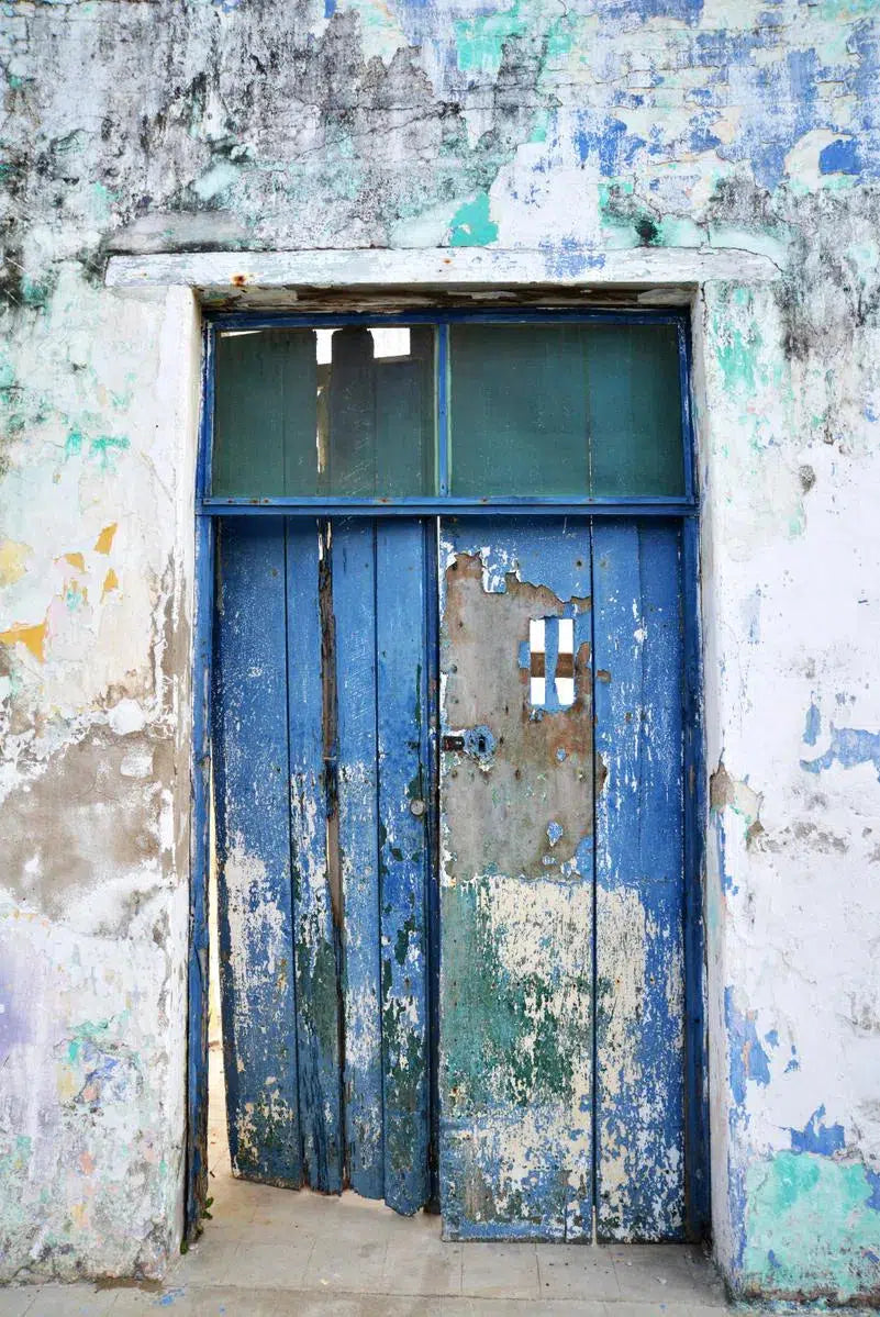 blue door, by Francesca Ritchey-PurePhoto