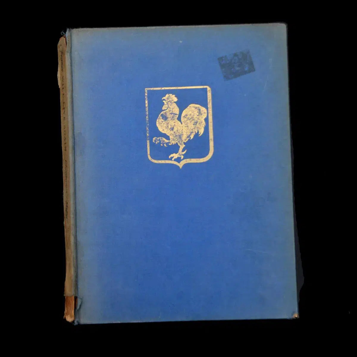 books 01, by Francesca Ritchey-PurePhoto