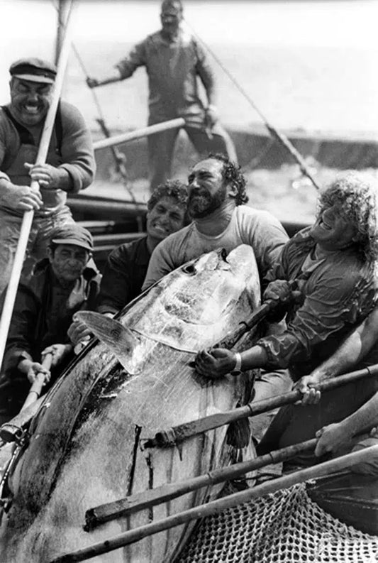 fishermans tuna in Sicily, by Stefano Fogato-PurePhoto