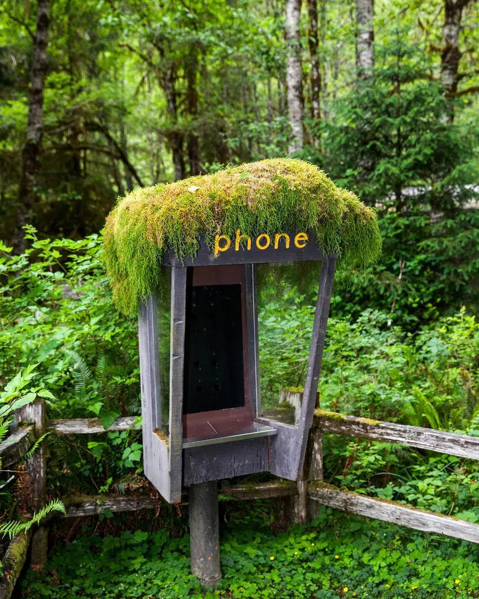 forest phone - III, by Tom Fowlks-PurePhoto