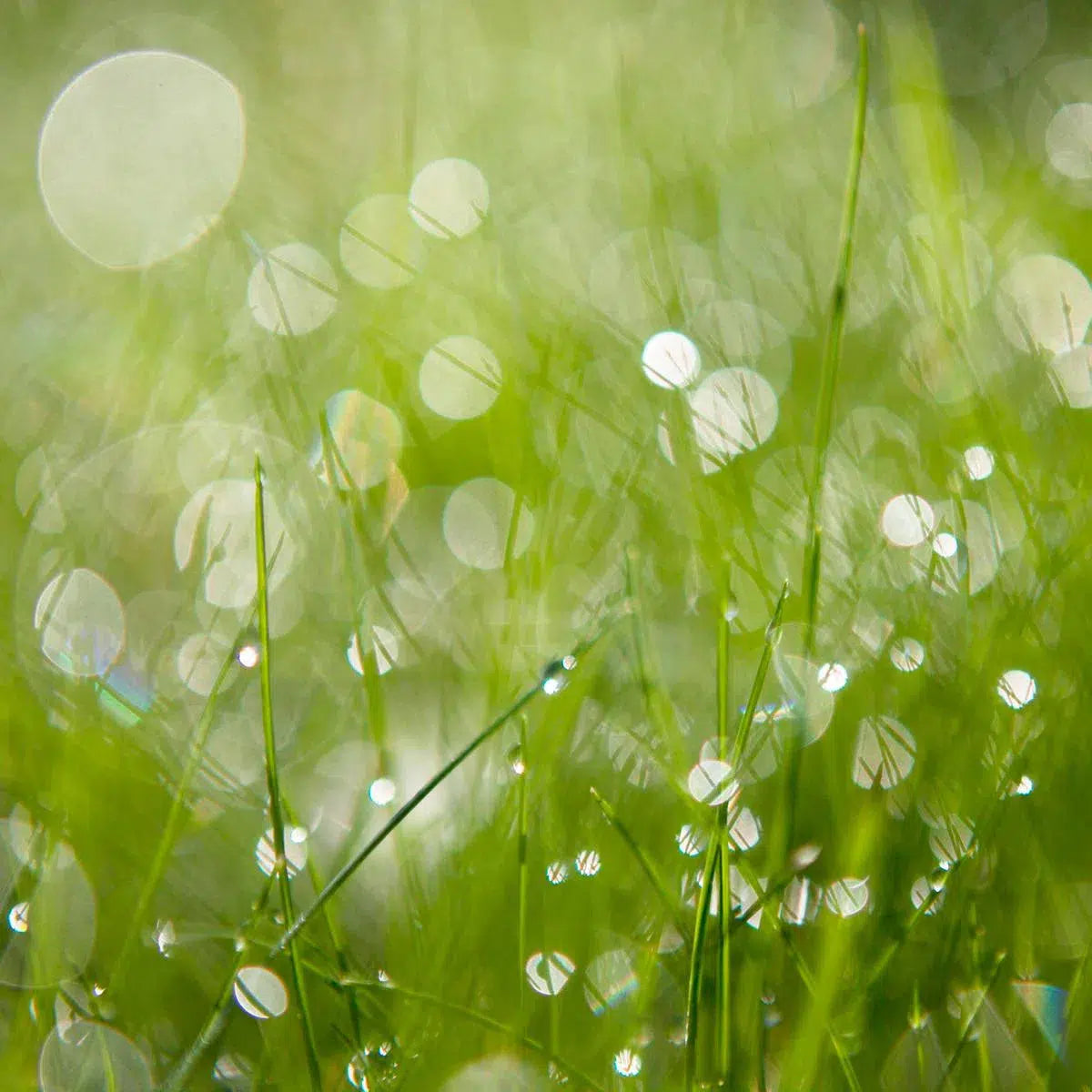 nothing but the less, by Andrea Buzzichelli-PurePhoto