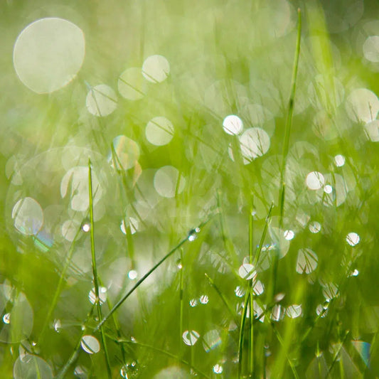nothing but the less, by Andrea Buzzichelli-PurePhoto