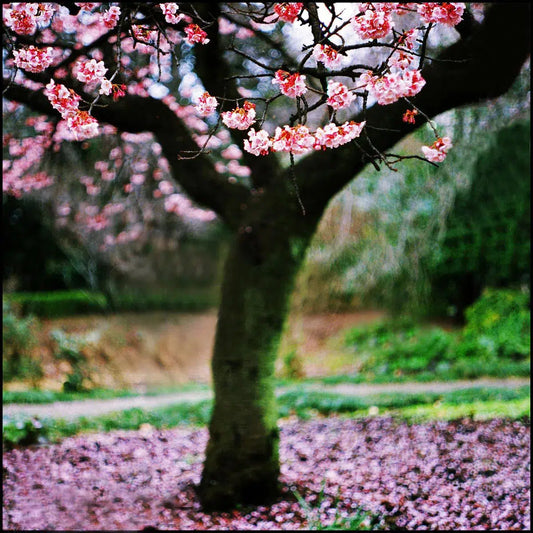 ontoshiki: courage to change, by ontoshiki photography-PurePhoto