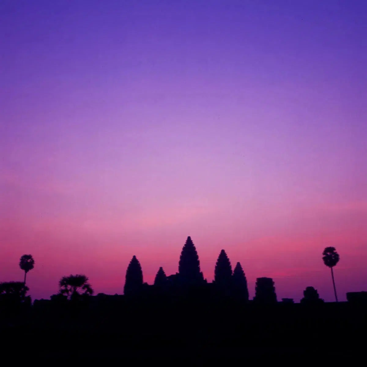 ontoshiki: the sacred kingdom II, by ontoshiki photography-PurePhoto