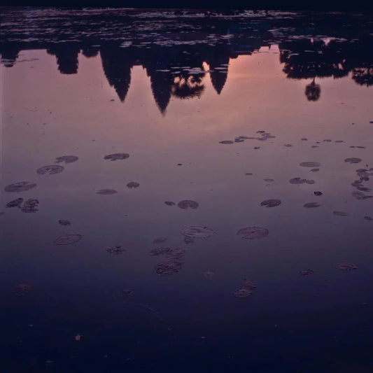ontoshiki: the sacred kingdom III, by ontoshiki photography-PurePhoto