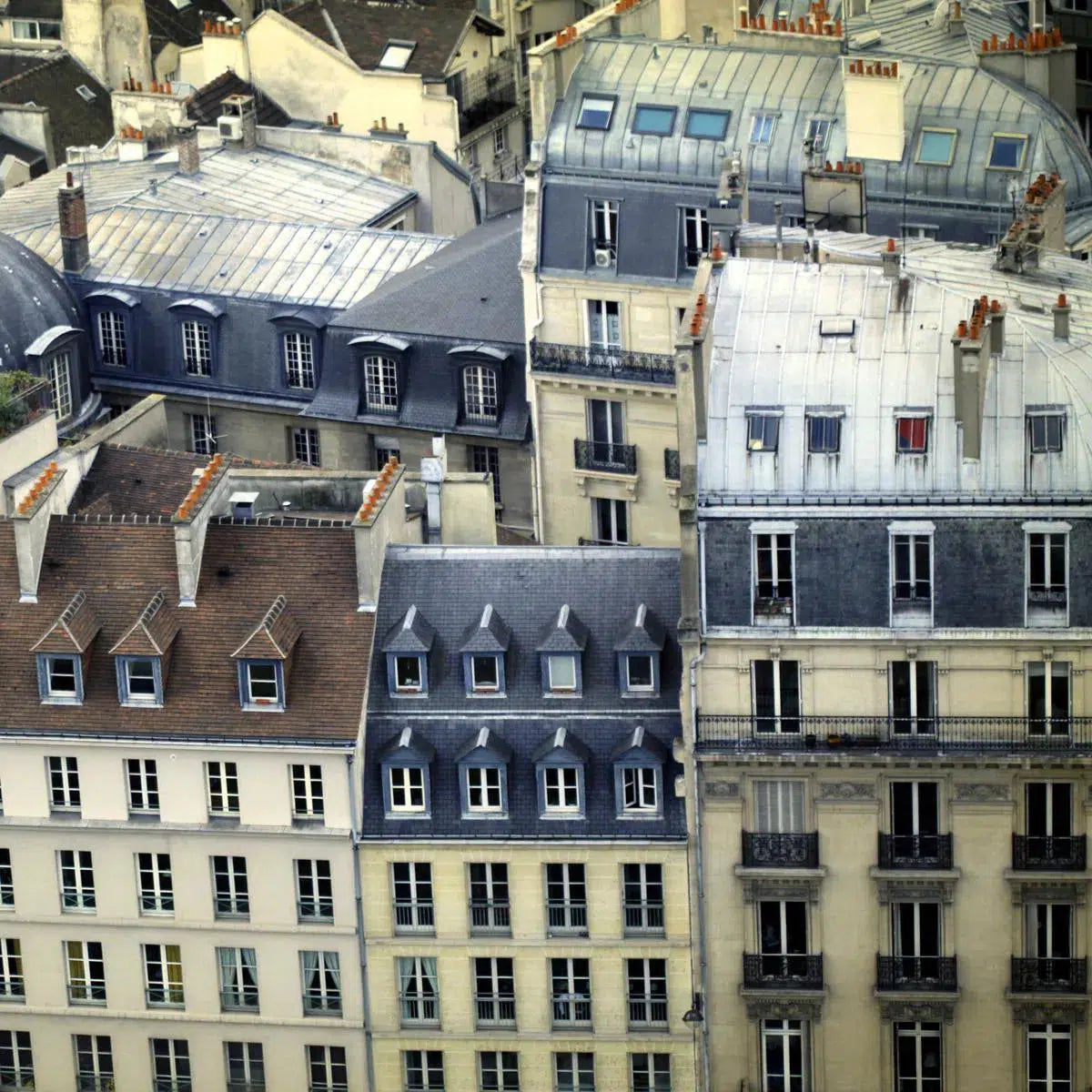 paris rooftop II, by Alicia Bock-PurePhoto