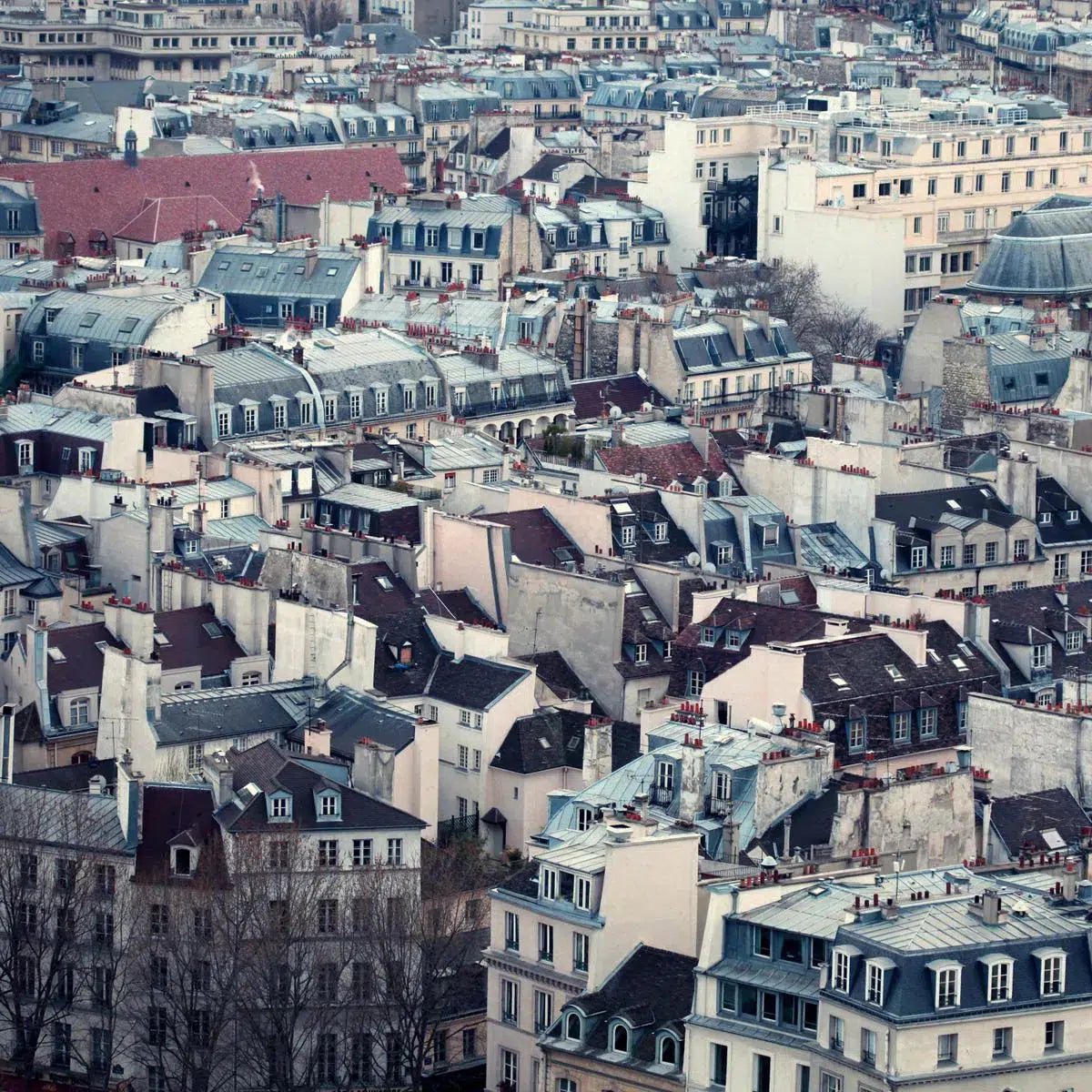 paris rooftop VI, by Alicia Bock-PurePhoto
