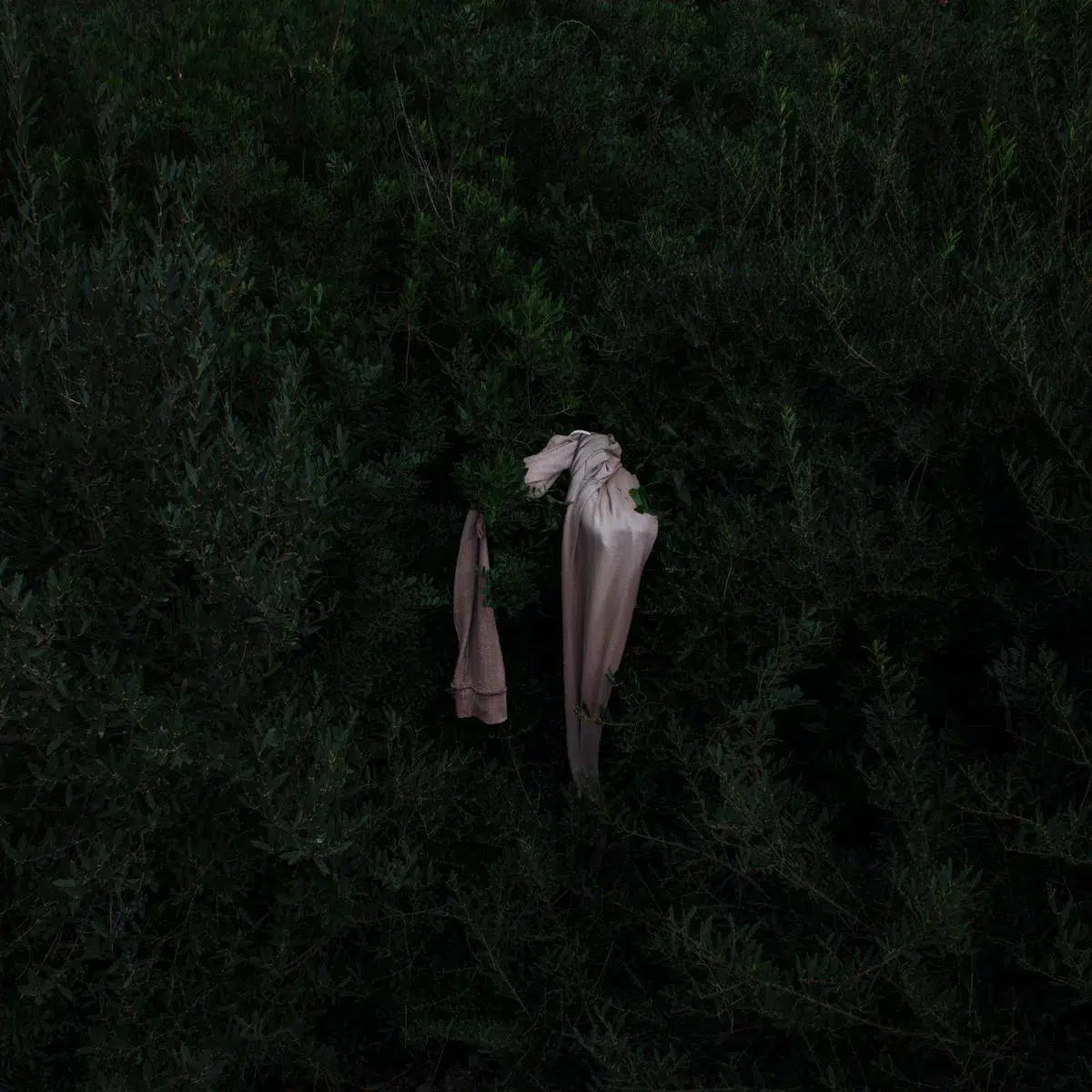 plastic islands # 1, by Giovanni Presutti-PurePhoto