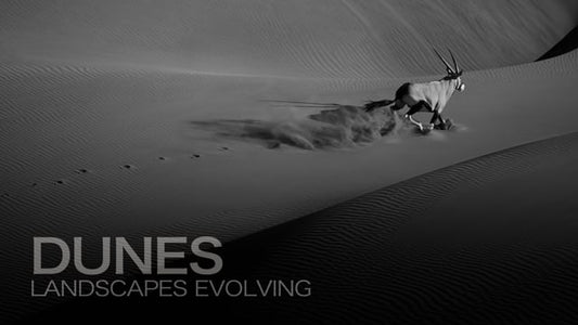 Desert Rising, by Drew Doggett