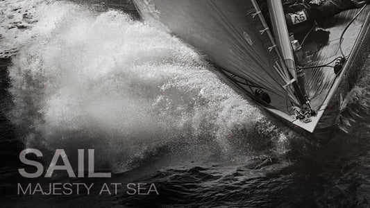 Shamrock Rising, by Drew Doggett