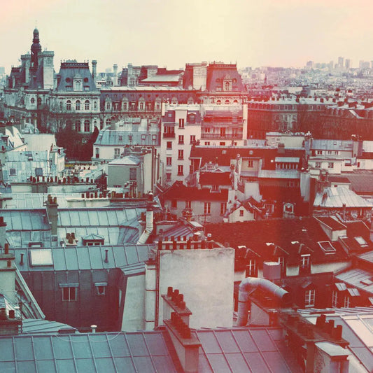 rooftops revisited, by Alicia Bock-PurePhoto