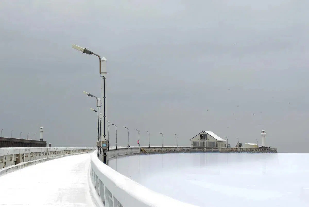 snow and seagulls, by Piet Flour Senior-PurePhoto